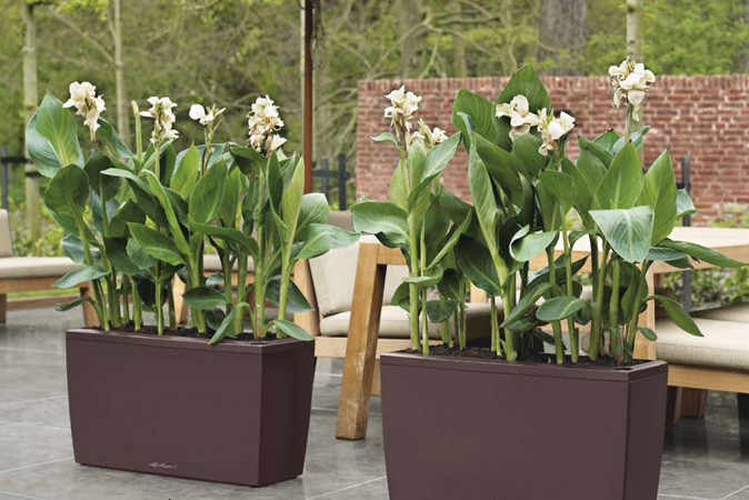  Lechuza    design. Lechuza high quality and design planters