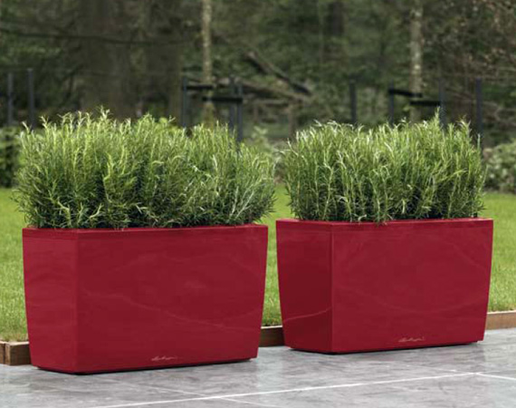  Lechuza    design. Lechuza high quality and design planters