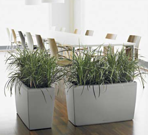  Lechuza    design. Lechuza high quality and design planters
