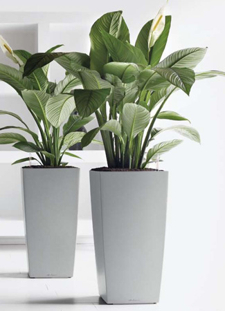  Lechuza    design. Lechuza high quality and design planters
