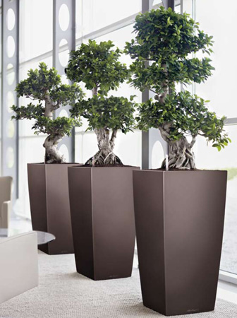  Lechuza    design. Lechuza high quality and design planters