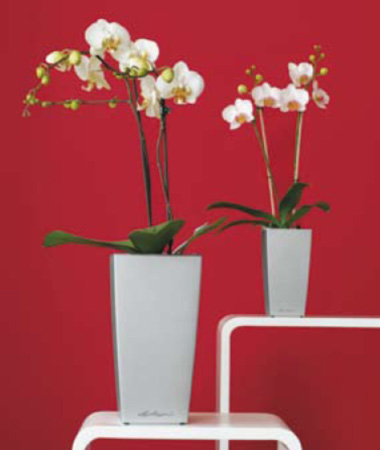  Lechuza    design. Lechuza high quality and design planters