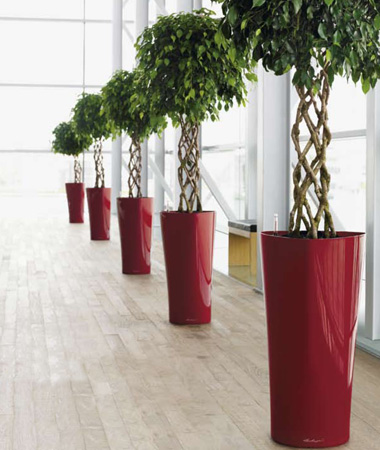  Lechuza    design. Lechuza high quality and design planters