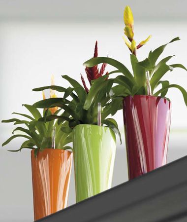  Lechuza    design. Lechuza high quality and design planters