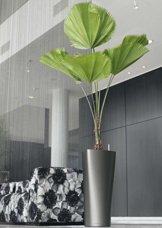  Lechuza    design. Lechuza high quality and design planters