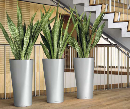  Lechuza    design. Lechuza high quality and design planters