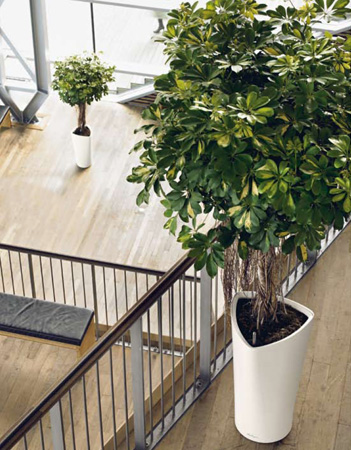 Lechuza    design. Lechuza high quality and design planters