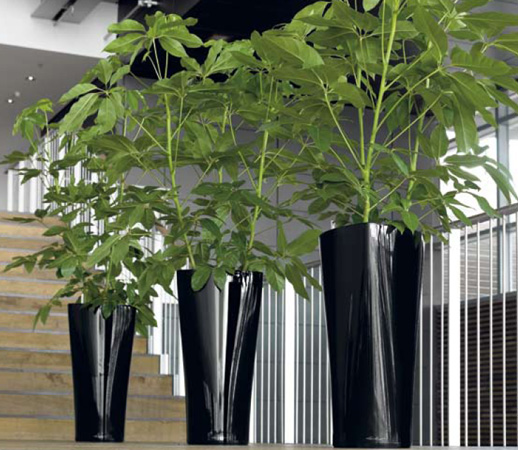 �������� Lechuza ������ ���������� ��� design. Lechuza high quality and design planters