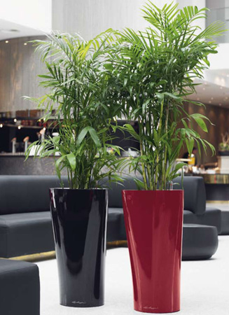  Lechuza    design. Lechuza high quality and design planters